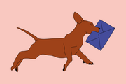 Ein Hund mit einem Briefwahlumschlag im Maul