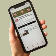 Eine Hand hält ein Smartphone. Das Display zeigt den YouTube-Kanal der Landeszentrale. 