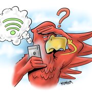 Adler  ohne Wlan