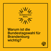 Auf einer Kachel steht die Frage "Warum ist die Bundestagswahl für Brandenburg wichtig".