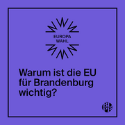 Eine lila Kachel. Darauf steht "Warum ist die EU für Brandenburg wichtig?". 