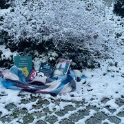 Ein verschneiter Busch. Davor liegen auf einem Schal einige Bücher aus dem Buchangebot der Landeszentrale. 