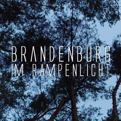 Blick in den Himmel mit Bäumen. Darauf der Text "Brandenburg - Im Rampenlicht"