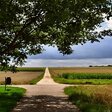 Ein Wanderweg in Brandenburg