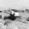 Roggenernte in Cottbus 1984, die Maschinen waren häufig stark reparaturbedürftig