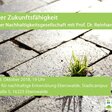Einsamer Grasbüschel im Straßenpflaster