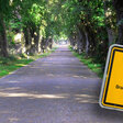 Allee in Brandenburg