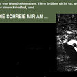 Waldfriedhof Halbe 1995 - Rekonstruktion einer Geschichtswerkstatt