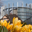 Frühling in Straßburg