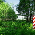 Grenzsteine im Wald