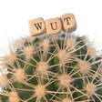 Kaktus mit WUT-Schild