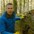 "Faszination Erde - Planet der Wälder"