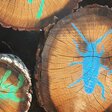 Unsere Wälder