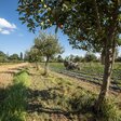 Ein Acker mit Baum und Strauchreihen Agroforestry (Gabriela Brändle, Agroscope) https://www.admin.ch/gov/de/start/dokumentation/medienmitteilungen.msg-id-76343.html
