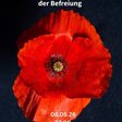 https://unsplash.com/de/fotos/rote-blume-mit-schwarzem-hintergrund-GgzJvsUT44g