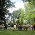Seminar-Gruppe in der Villa Fohrde: Teilnehmende sitzen im Stuhlkreis auf einer Gartenwiese unter einer großen Trauerweide. Im Hintergrund ist die Havel sichtbar. Hier wird Demokratie nicht nur besprochen, sondern im Miteinander erlebt.