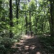 Wandernd