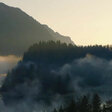 Im Zaubertal der Kröten