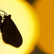 Licht aus_25_Credit Tim Visser.jpg