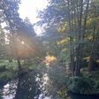 Morgenstimmung Spreewald Foto rbb Wolfgang Albus.jpg