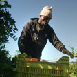 Filmstill "The Pickers"_P9RBUY~J©Maus Zahn  (1)