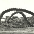 Foto "Panzerkette in der Märkischen Heide" von Susanne Müller, 1992