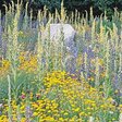 Rettet die Insekten