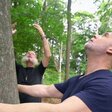 Wahrheit über die Kraft des Waldes