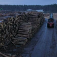 Ware Wald
