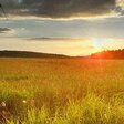  "Die Wiese - ein verlorenes Paradies?"