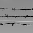 Stacheldraht