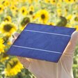 Eine Hand hält ein Solarpaneel in einem Feld mit Sonnenblumen