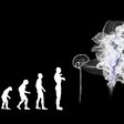 Evolution Künstliche Intelligenz
