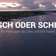 Titelbild zum Film. Der Schriftzug "Fisch oder Schiff" auf dem Fluss