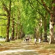 Grüner Park mit entspannten Menschen