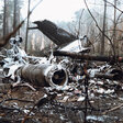 Flugzeugwrack der Tupolew nach Absturz nach Berlin-Bohnsdorf im Dezember 1986