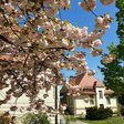 Die Landeszentrale im Frühling
