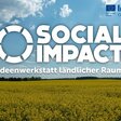 Social Impact 