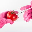 Tomate mit Spritze