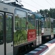 Eine Straßenbahn in Potsdam