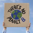 Person die für den Klimawandel protestiert.