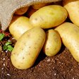 Kartoffeln