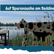 Ausschnitt aus dem Programm