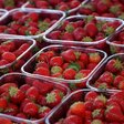 Erdbeeren in Schalen auf dem Markt