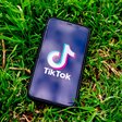 Handy mit TikTok-Logo im Gras