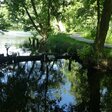 Umweltschutz in Brandeburg: Hier auf dem 66-Seen-Weg rund um Berlin im Briesetal